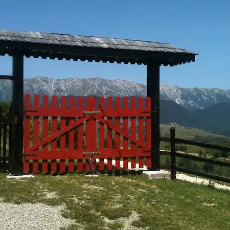 Casa Konigstein Fundata
